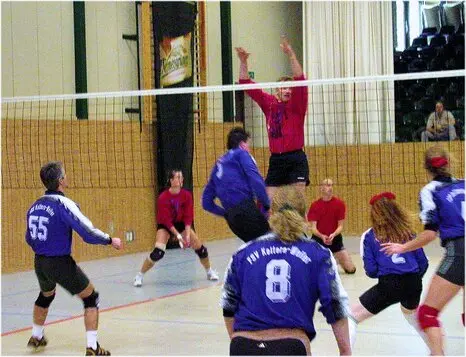 2002-SC-Baden-Baden-Mixed-Volleyball-DM-Halbfinale.jpg