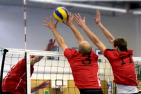 2014-SC-Baden-Baden-Mixed-Volleyball-DM-Endspiel-Florian-und-Stefan-Block.jpg
